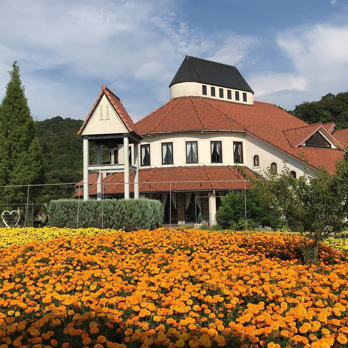 🖼️ 타월 미술관(タオルびじゅつかん) 이미지 6